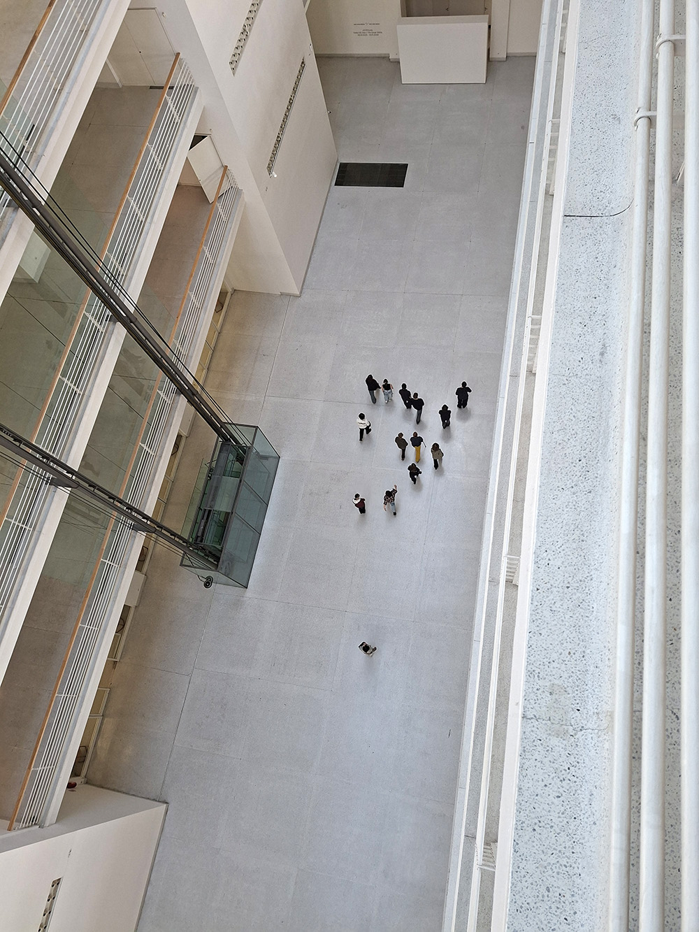 Anima brezen 2026 2 w